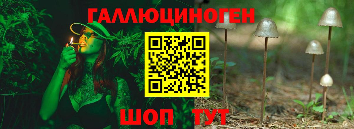Псилоцибиновые грибы ЛСД Арсеньев